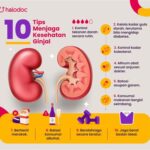 7 Tips Menjaga Ginjal Tetap Sehat yang Wajib Kamu Terapkan dari Sekarang!