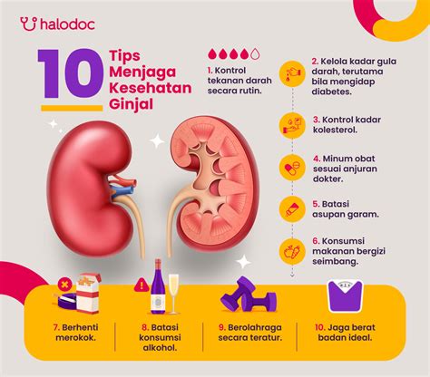 7 Tips Menjaga Ginjal Tetap Sehat yang Wajib Kamu Terapkan dari Sekarang! 7 Tips Menjaga Ginjal Tetap Sehat yang Wajib Kamu Terapkan dari Sekarang!
